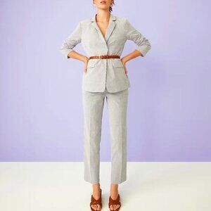 Seersucker Devin Straight Fit Pants in  Stripe Ann Taylor NWT